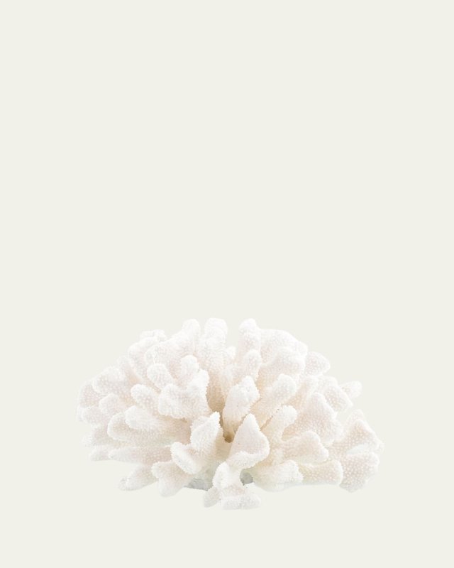 Maldives Coral